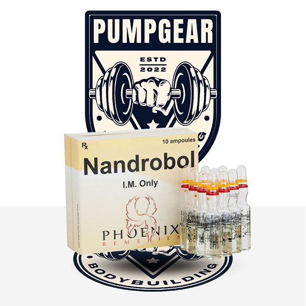 NandroBol